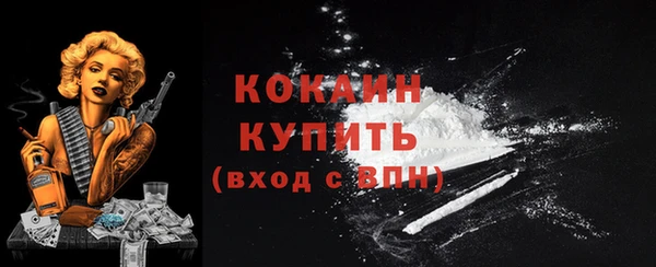 ешки Аркадак