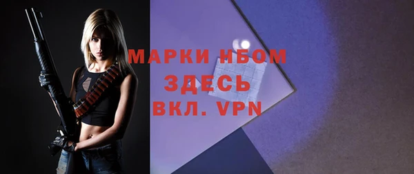 ешки Аркадак