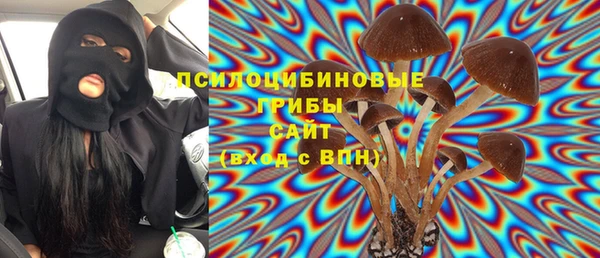 ешки Аркадак